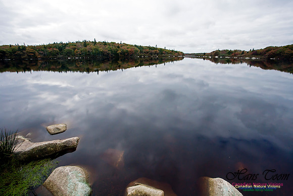 FallColours2012-66