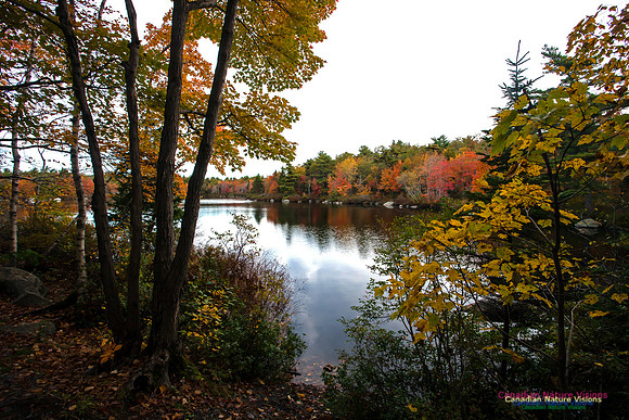 FallColours2012-46