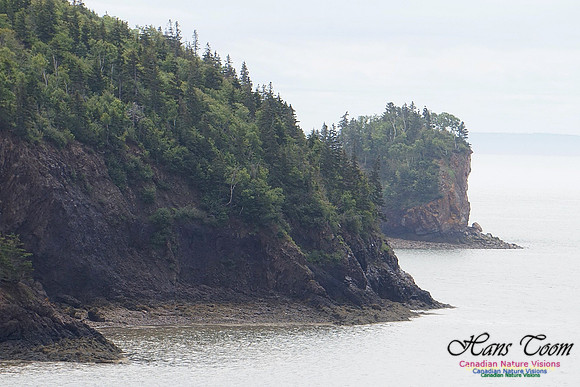 Two Islands 101