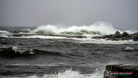 Nova Scotia Gale 2024-09-07 179