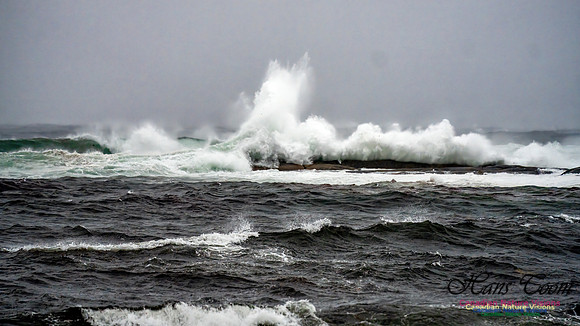 Nova Scotia Gale 2024-09-07 171