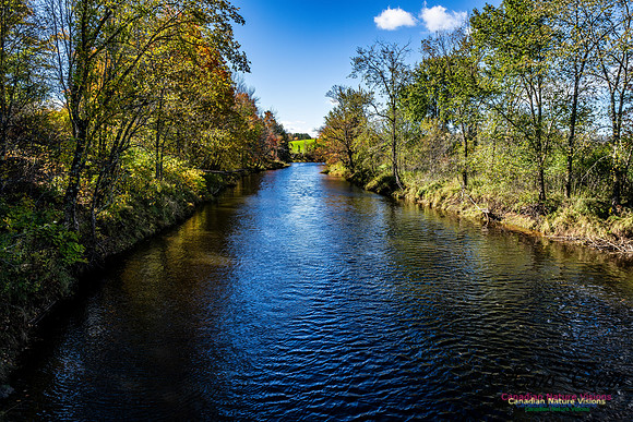 Last Fall Colours of 2024 110