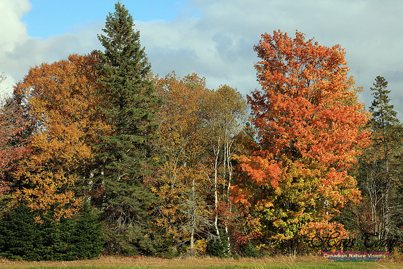 Shubenacadie Valley