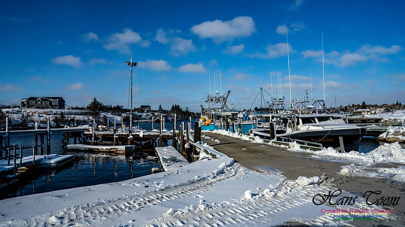 Nova Scotia Winter 311