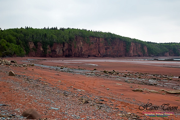 Chignecto Provincial Park