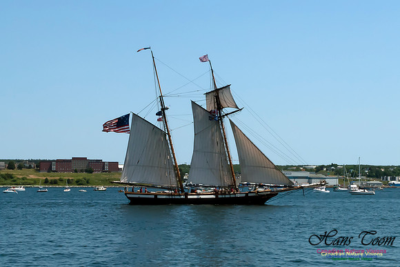 TallShips 2012