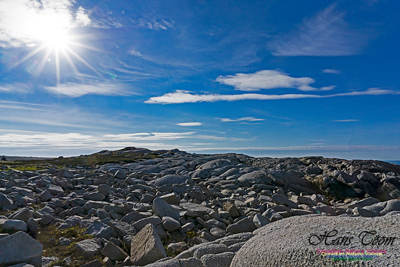 Another Morning Stroll on the Coastal Barrens 111