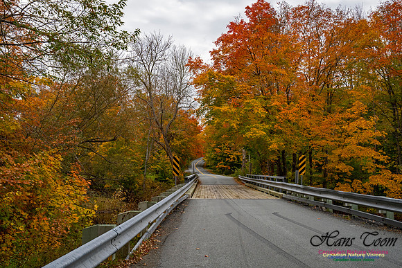 Fall Colours and Reflections 127