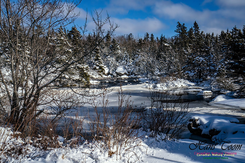 Nova Scotia Winter 346