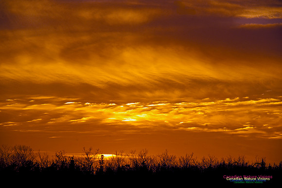 PortugueseCoveSunset8