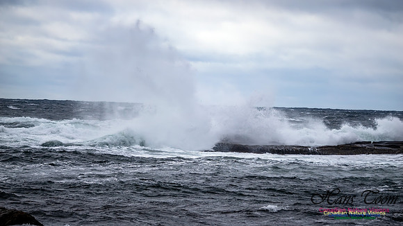 November Gale 3 128