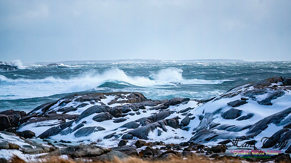 February 17 Gale 124