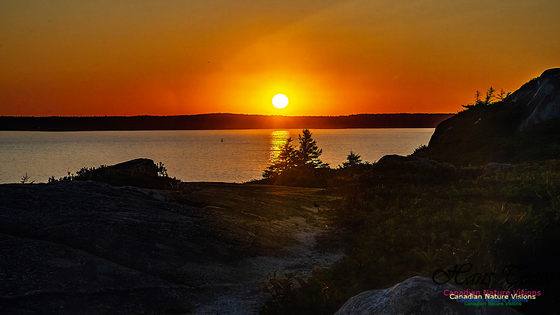 Sunset +1 105