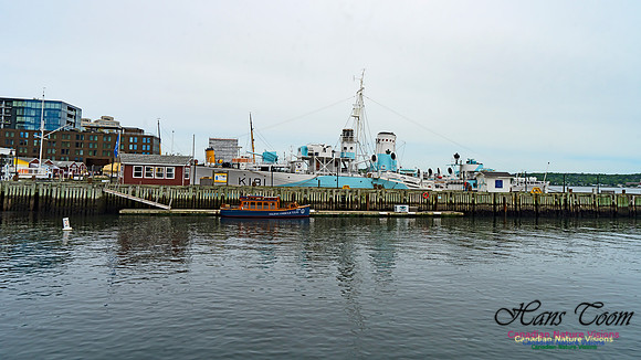 Halifax Waterfront Stroll 123