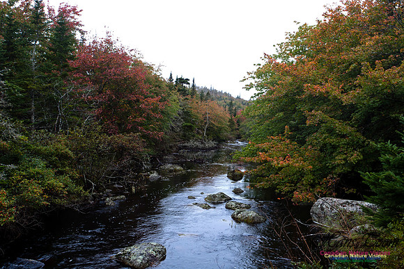 North Mountain
