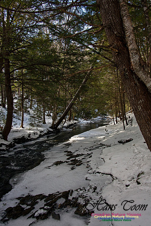 Butchers Creek