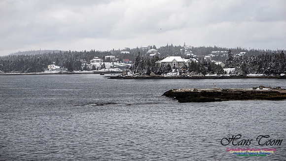 April Snow In Nova Scotia 131