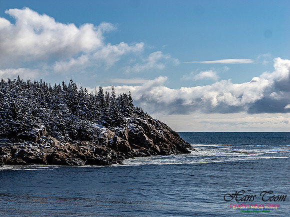 April Snow in Nova Scotia 218