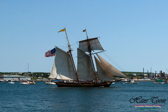 TallShips 2012