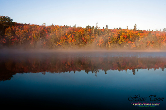 FallColours2012-16