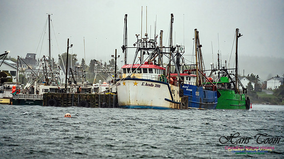 Nova Scotia Gale 2024-09-07 122