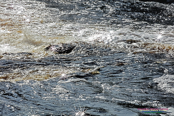 MovingWaters1004