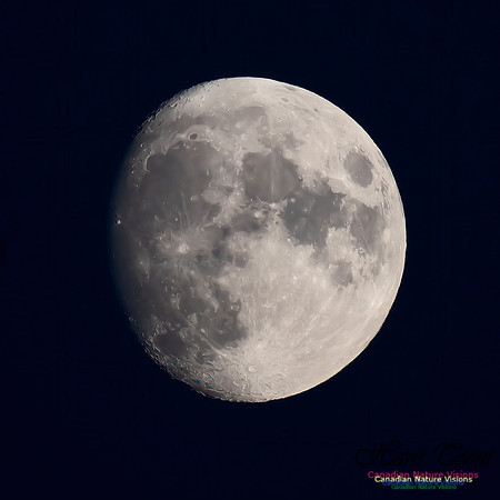Brier Island Moon 101