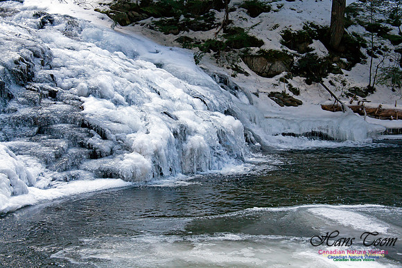 Butchers Falls