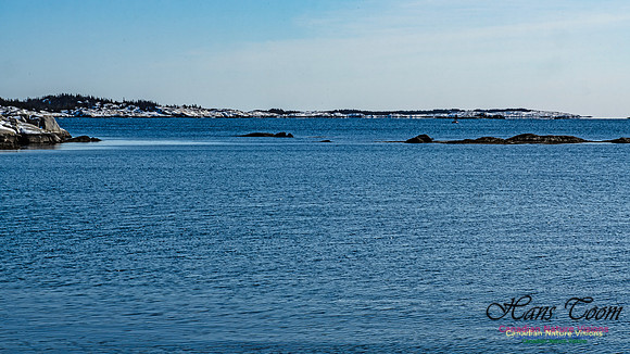 Prospect Bay Loop 148