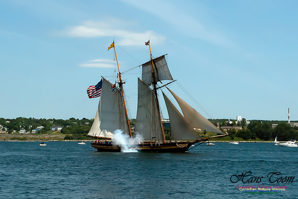 TallShips 2012