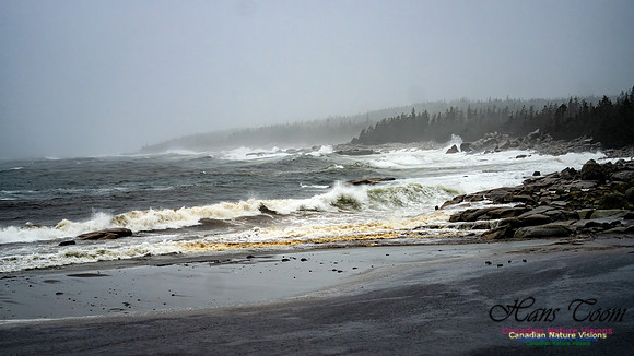 Nova Scotia Gale 2024-09-07 129