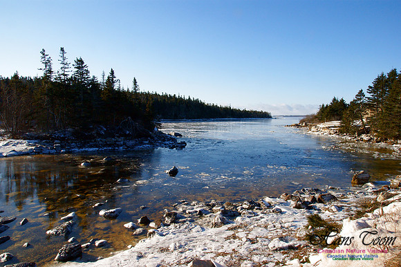 Sambro Head