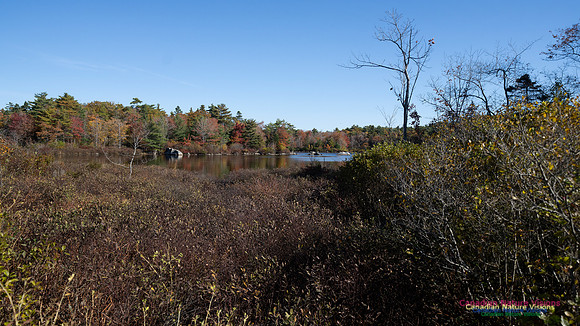 Frog Pond Stroll 130