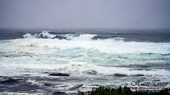 Nova Scotia Gale 2024-09-07 150