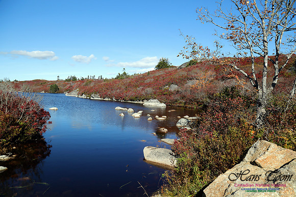 CoastalBarrensFall2016-1021