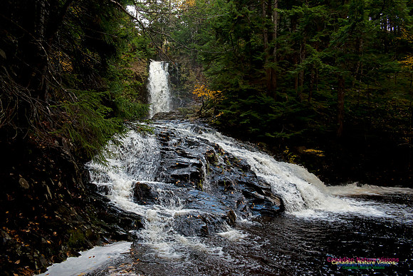 Butchers Falls