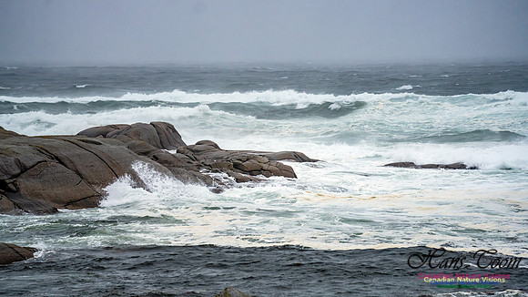 Nova Scotia Gale 2024-09-07 159