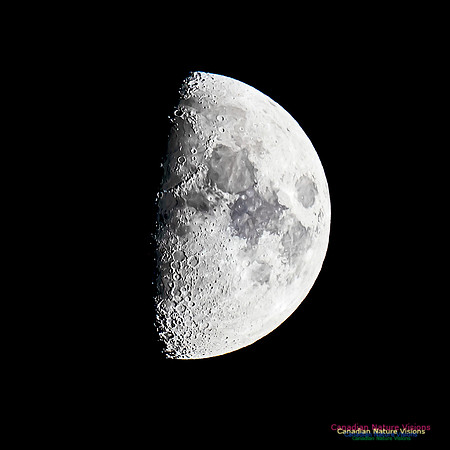East Chezzetcooke Moon 100