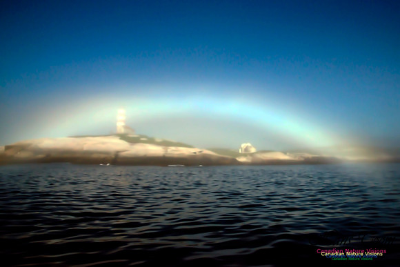 Fogbow