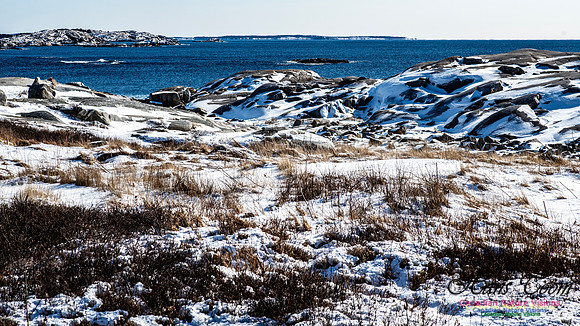 Prospect Bay Loop 162