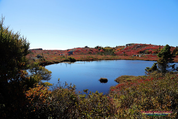CoastalBarrensFall2016-1012