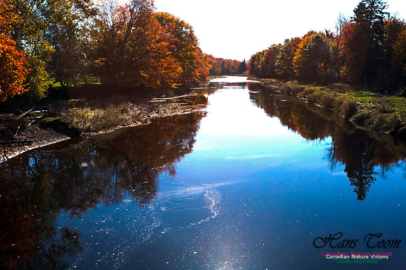 FallColours2012-75