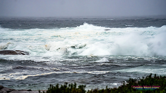Nova Scotia Gale 2024-09-07 162