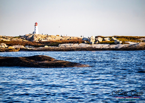Late Day at Peggy's Cove 133