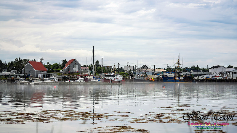 Harbour Traffic 104