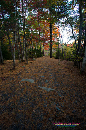 Sir Sanford Fleming Park