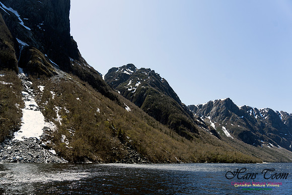 Western Brook Pond 238