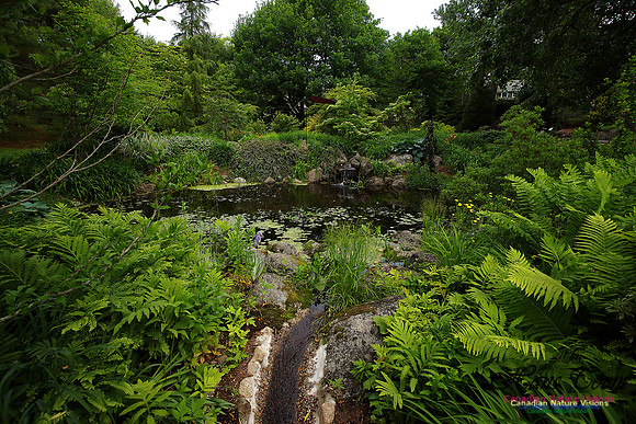 Annapolis Roya Historic Gardens