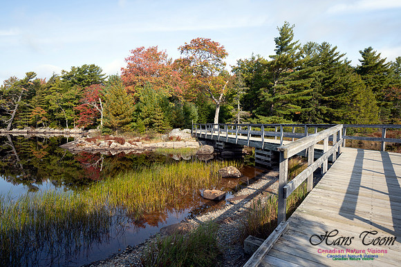 First Fall Photos Nova Scotia 119