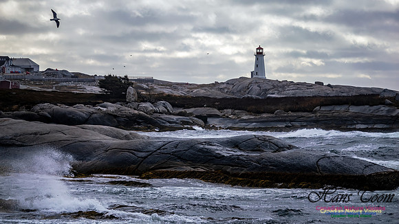 November Gale 3 127
